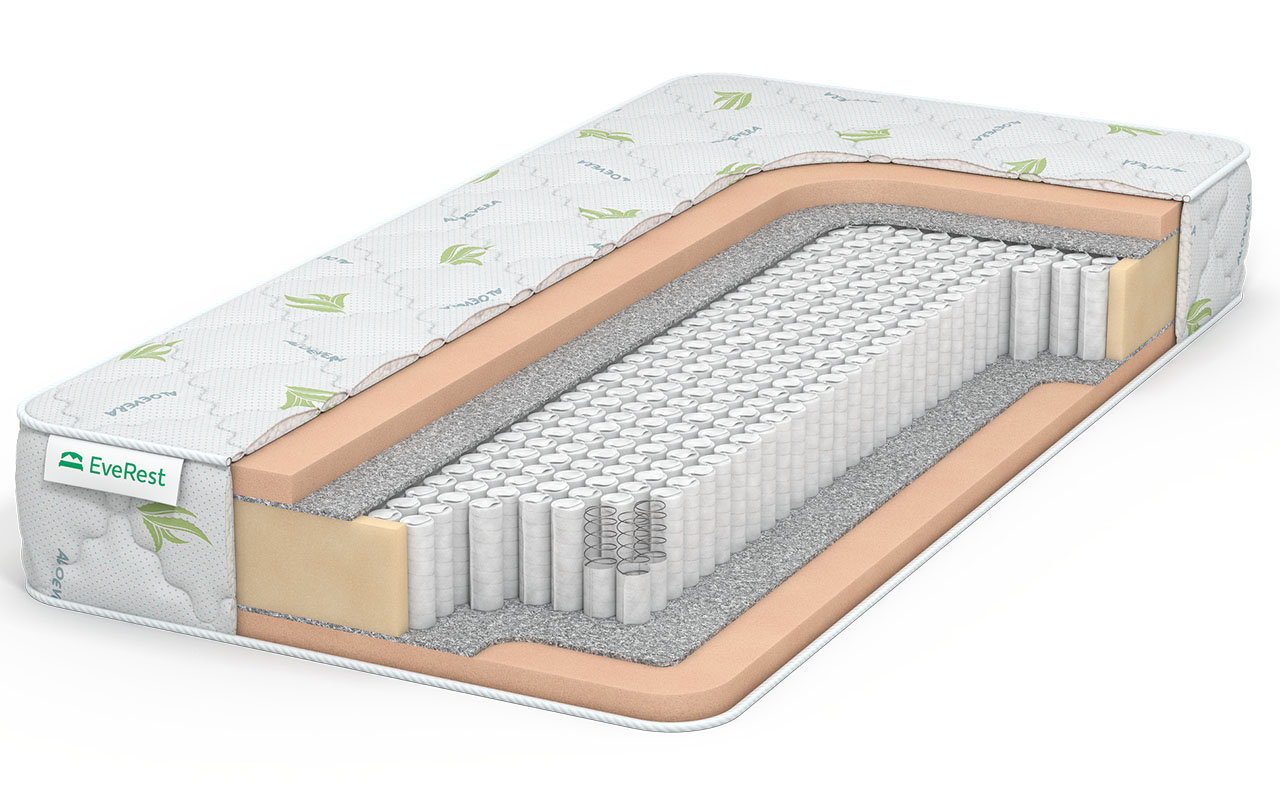 Everest Софт Мемори S1000